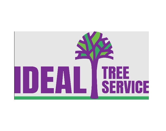 Ideal Tree Service - Tree service in Fredericton