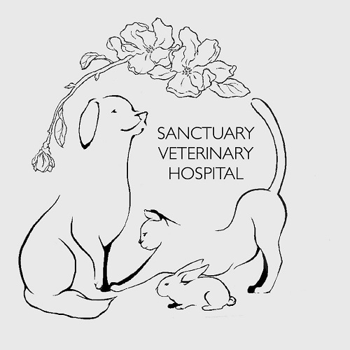 Sanctuary Veterinary Hospital - Veterinarian in Calgary