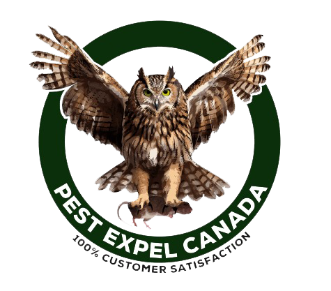 Pest Control Woodbridge Canada - Logo