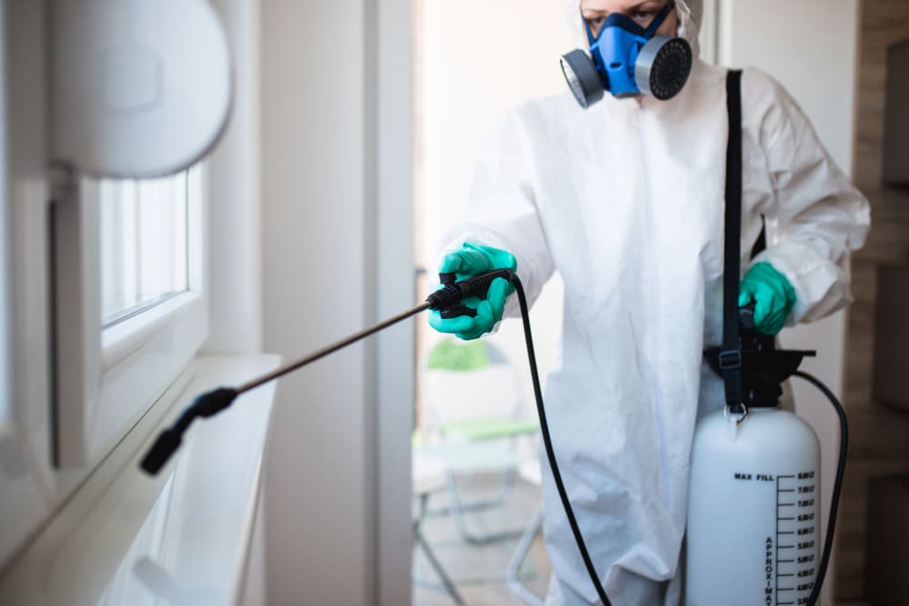 Absolute Pest Solutions - Pest Control Equipment & Supplies in Burnaby
