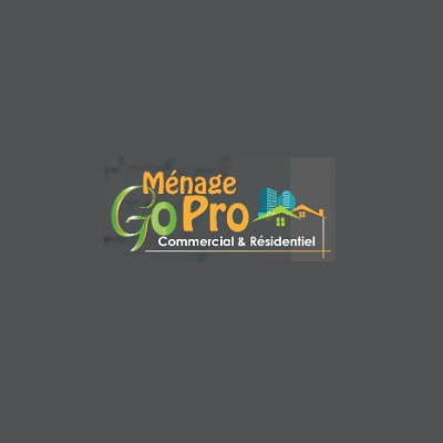 Go Pro Cleaning - Logo