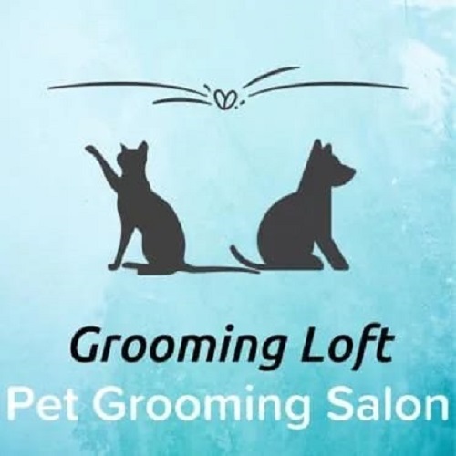 Grooming Loft Pet Salon - Pet groomer in North York