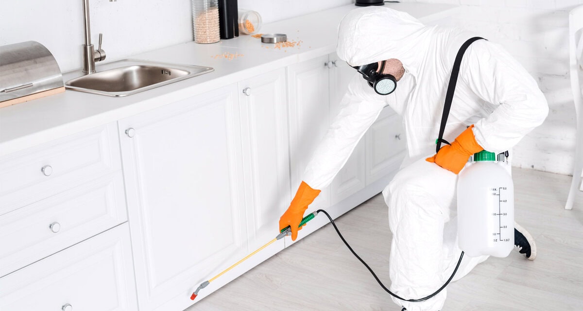 Absolute Pest Solutions - Business Photo
