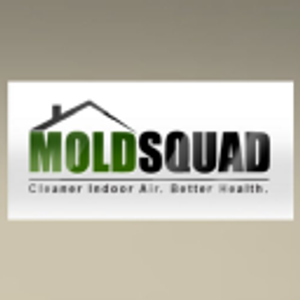 Mold Squad - Logo