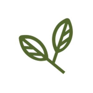 The Walnut Tree Massage Therapy & Wellness